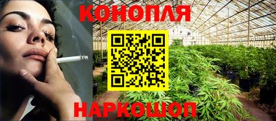 гидропоника Партизанск